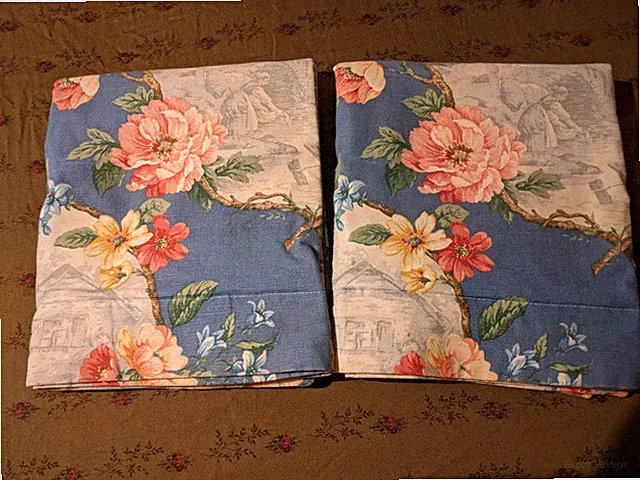 Blue Large Floral with Picture King Pillow Shams Two