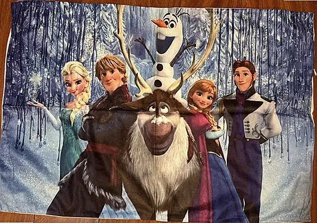 ONE Frozen the Movie 2015 Pillow Case (one) 20" X 30" NEW Elsa ANNA Cast New