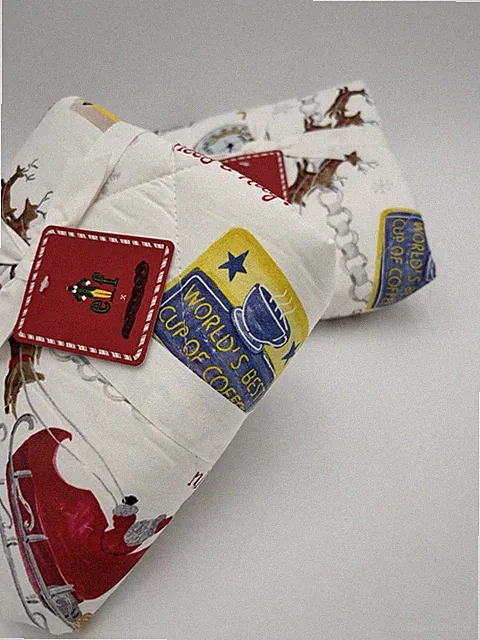 Pottery Barn Elf The Movie Comforter Shams ~ Euro ~ Set of 2